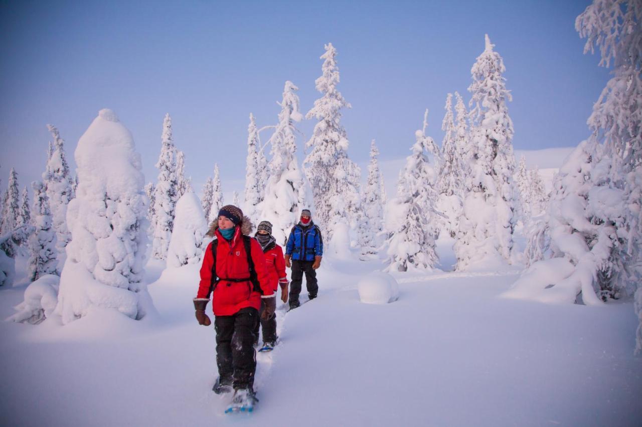 Harriniva Adventure Resort Muonio Luaran gambar